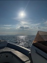 Bateau semi-rigide 250Cv